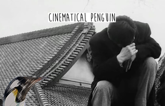 A Day Off Cinematical Penguin Pic